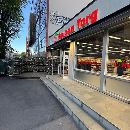 Bright & Cozy - Location Appartement